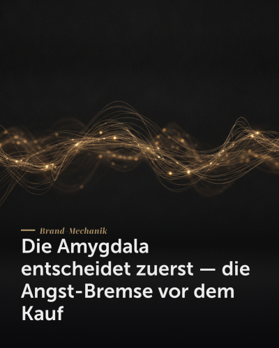 Die Amygdala entscheidet zuerst — die Angst-Bremse vor dem Kauf